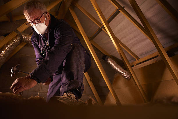 Types of Insulation We Offer in St Bonifacius, MN